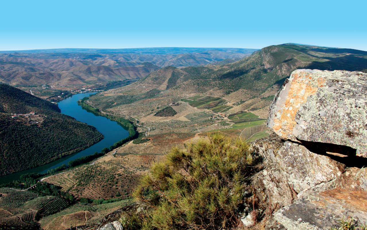 Méandre du Douro et ses vignobles en terrasses - Portugal