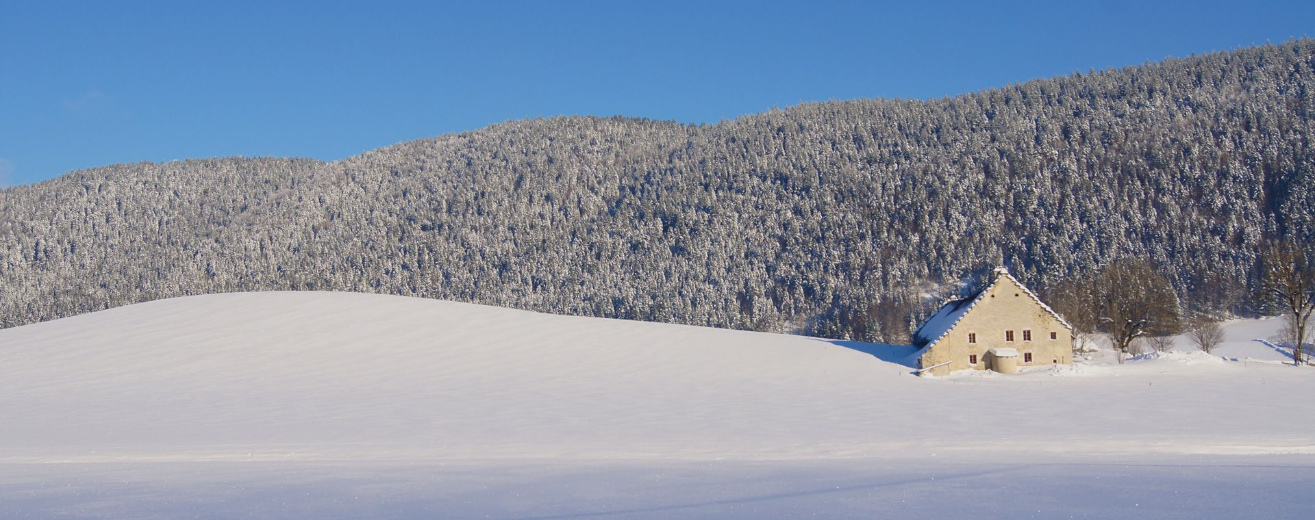 Ferme enneigée et forêt - Méaudre - Vercors