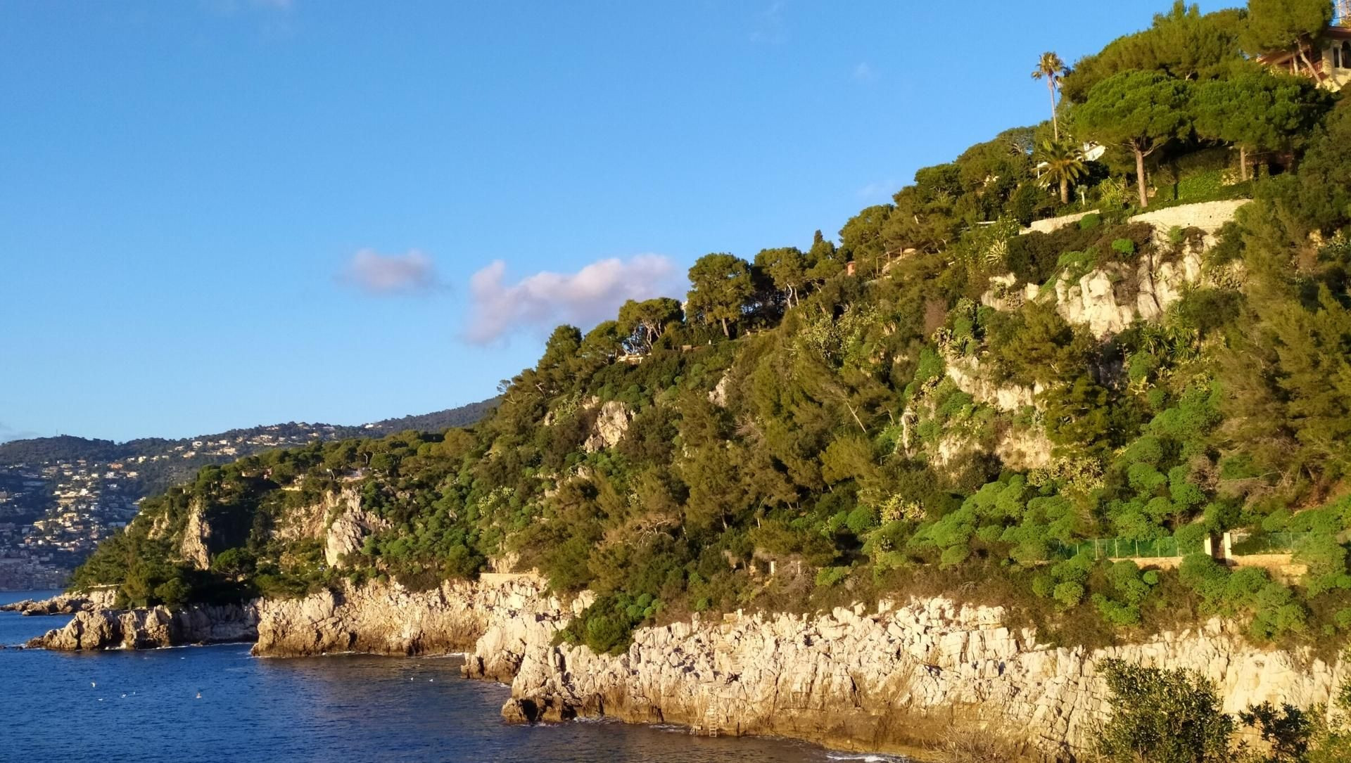 Côte rocheuse boisée au bord de la Méditerranée - Riviera - France