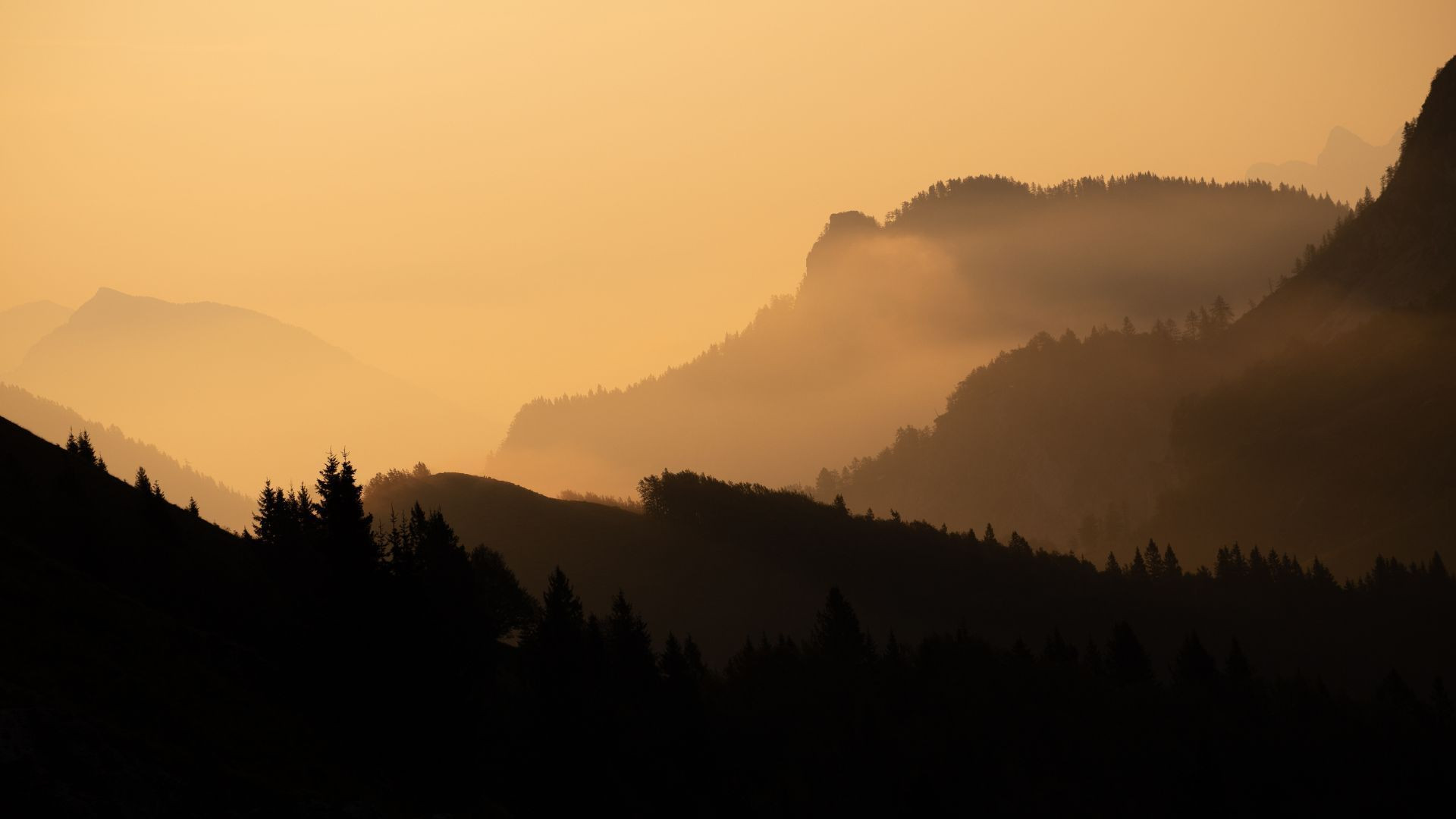 Crêtes boisées brumeuses au coucher du soleil - Alpes juliennes - Slovénie