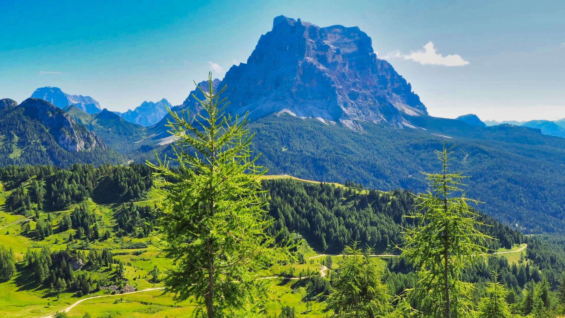 Mount Pelmo and green larches - Dolomites - Italy