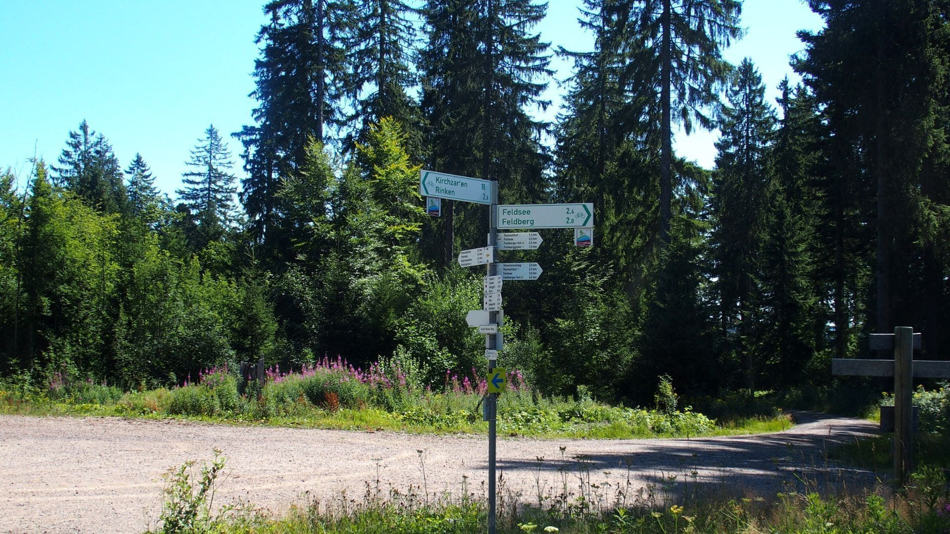 Balisage des pistes VTT en Haute Forêt-Noire - Allemagne