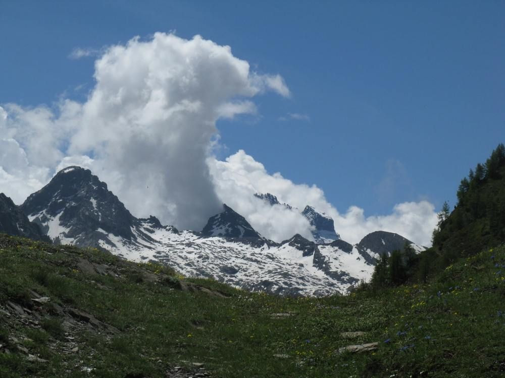 Sommets enneigés et alpages fleuris - Alpes - France