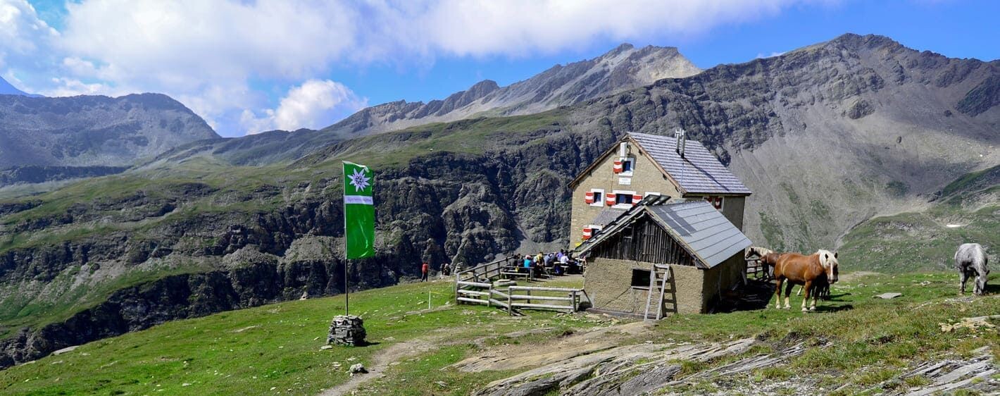 Refuge de montagne et chevaux en alpage - Alpes - France