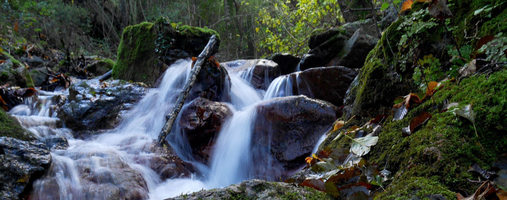 Cascade de ruisseau en forêt - Corse - France
