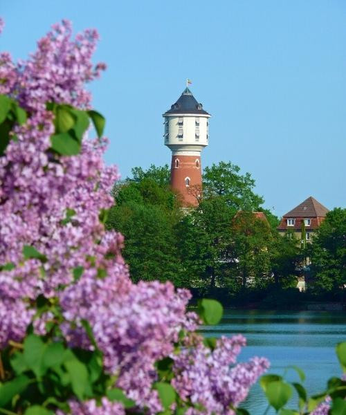 neustrelitz_c_pixabay_.jpg