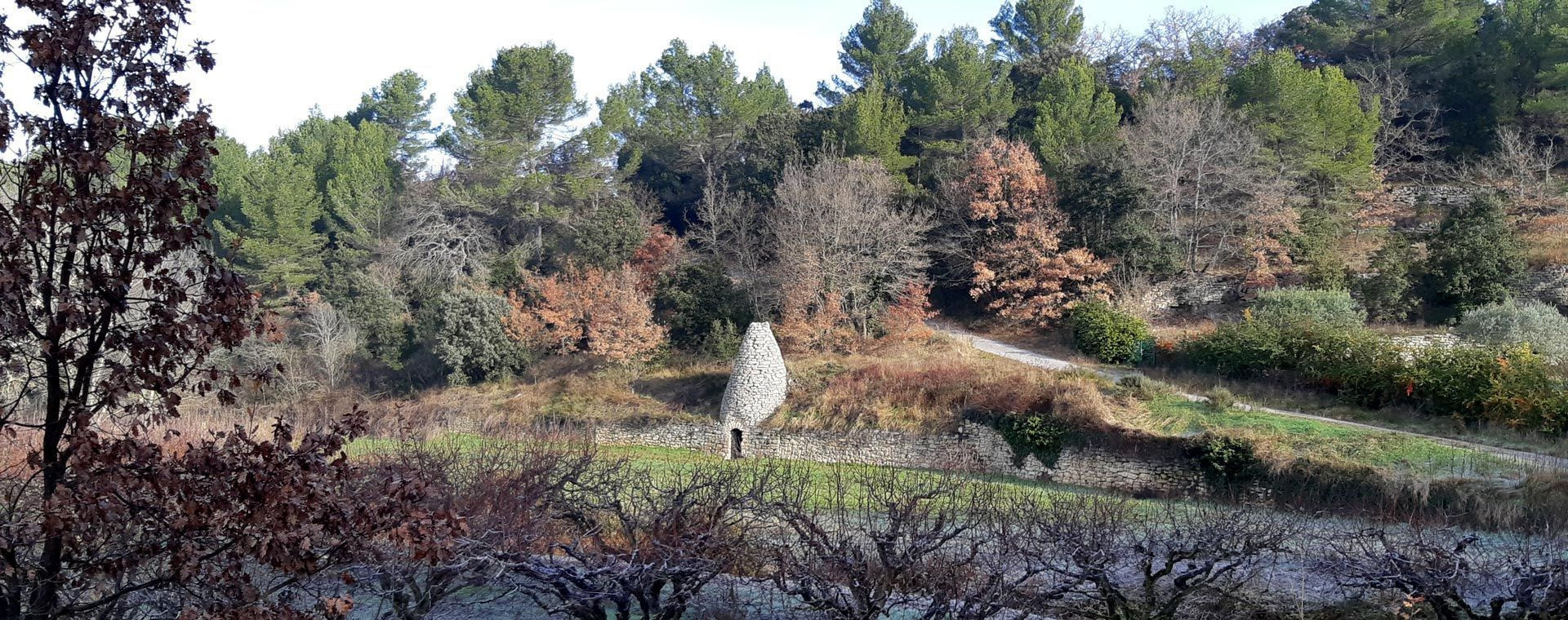 Borie de pierres sèches dans la garrigue boisée - Luberon - Provence