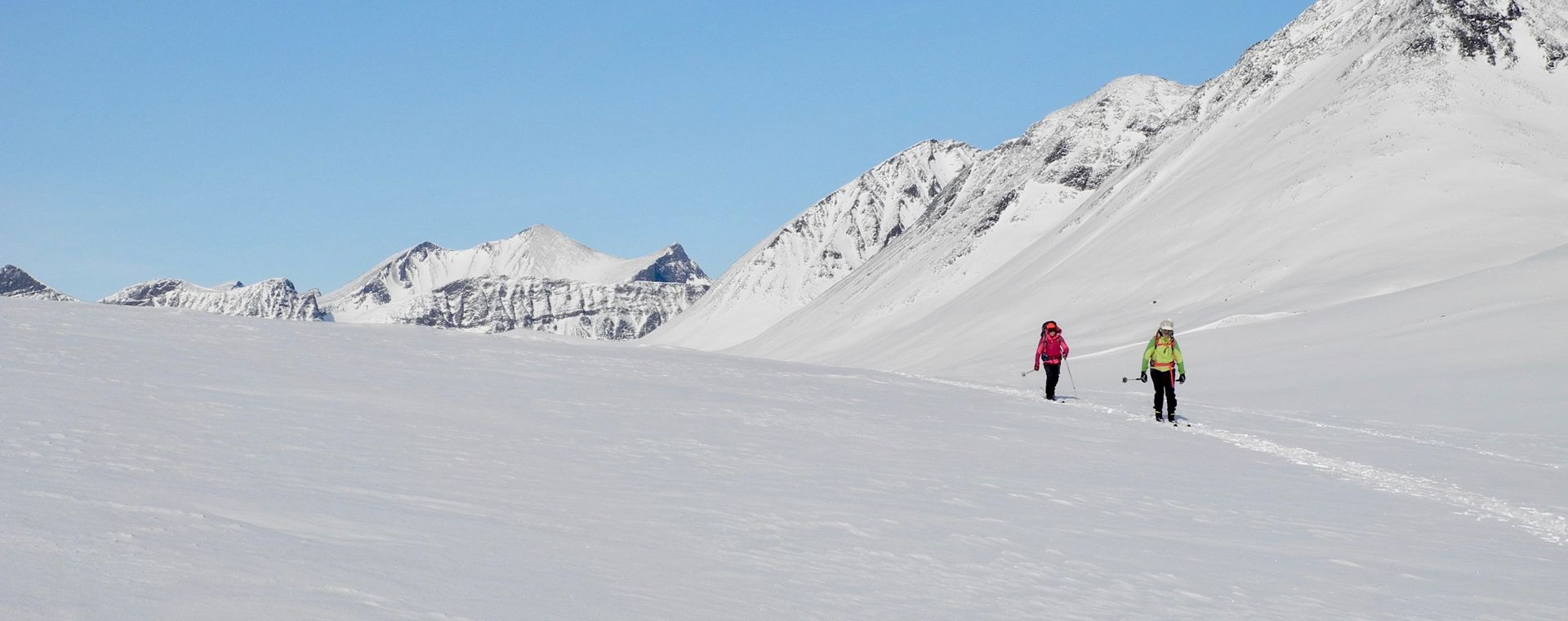 Skieuses de randonnée nordique sous les cimes - Kungsleden - Laponie suédoise
