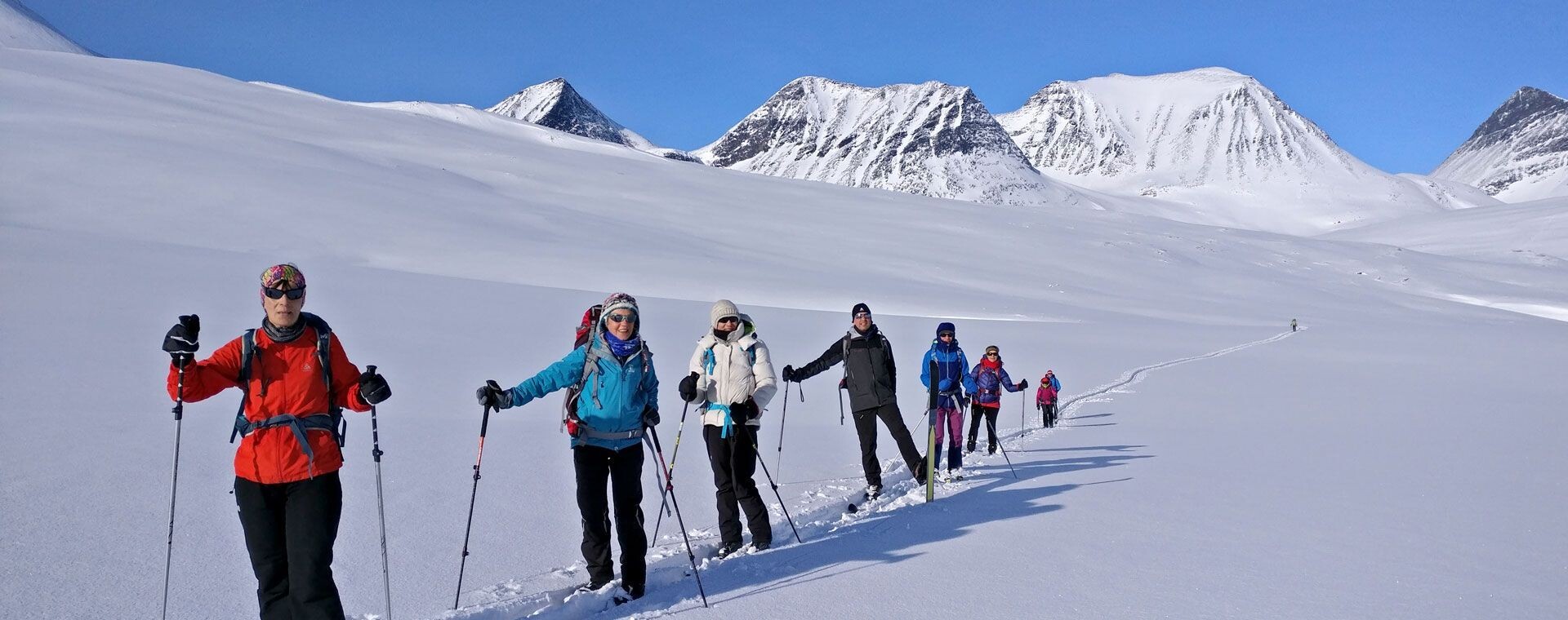 Skieurs de randonnée nordique sur la Piste Royale - Kungsleden - Laponie suédoise