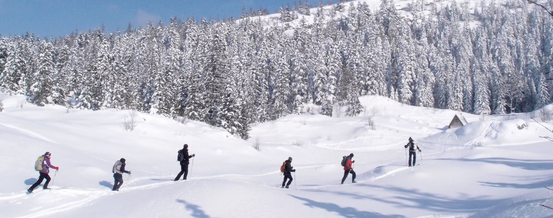 Ski de randonnée nordique sur les crêtes du Vercors - France