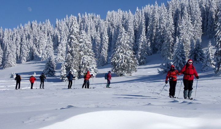 Ski de randonnée nordique en forêt enneigée - Crêtes du Jura, France