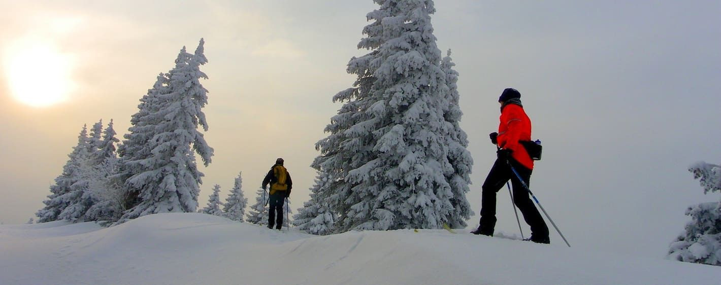 Skieurs nordiques au coucher du soleil dans la forêt enneigée - Norvège