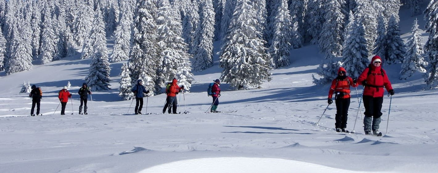 Groupe en ski nordique sous les sapins enneigés - Vercors - France