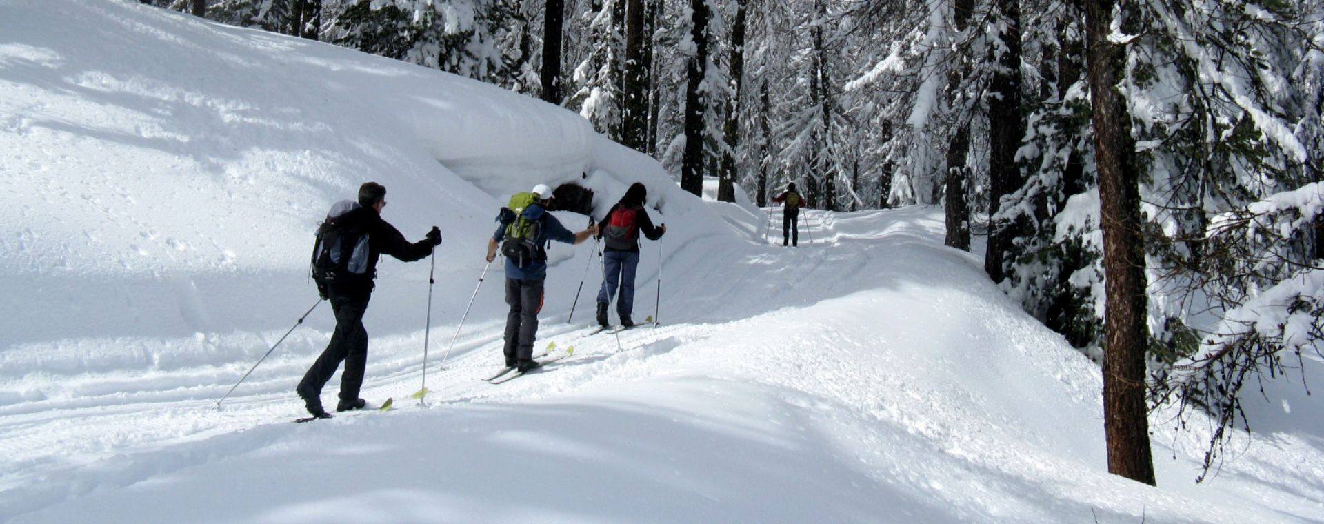 Skieurs de randonnée en forêt enneigée - Crêtes du Jura - France