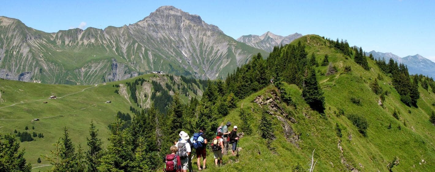 Oberland 19 - Suisse