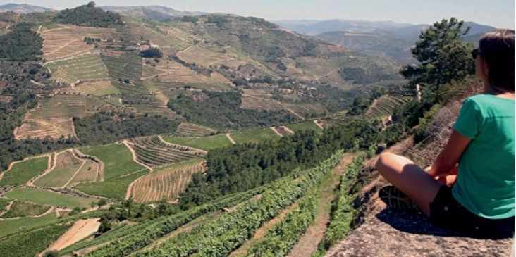 Overlooking the terraced vineyards of the Douro Valley - Portugal (3)