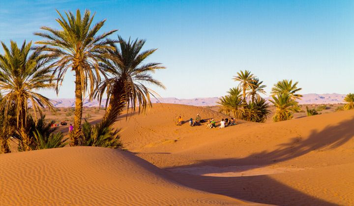 Oasis de palmiers dans les dunes - Sud marocain - Maroc