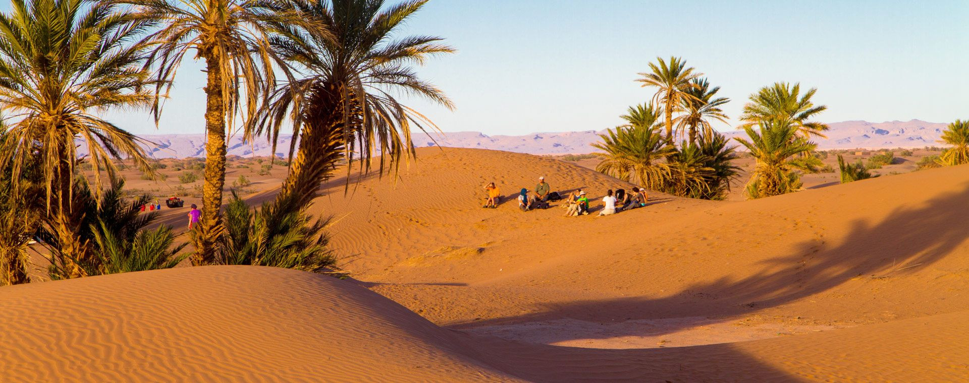 Groupe de randonneurs sous les palmiers dans le désert - Sud marocain - Maroc