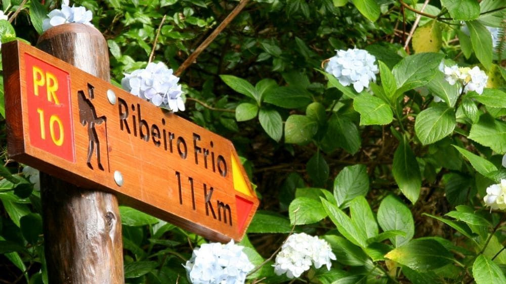Panneau de randonnée Ribeiro Frio parmi les hortensias - Madère - Portugal
