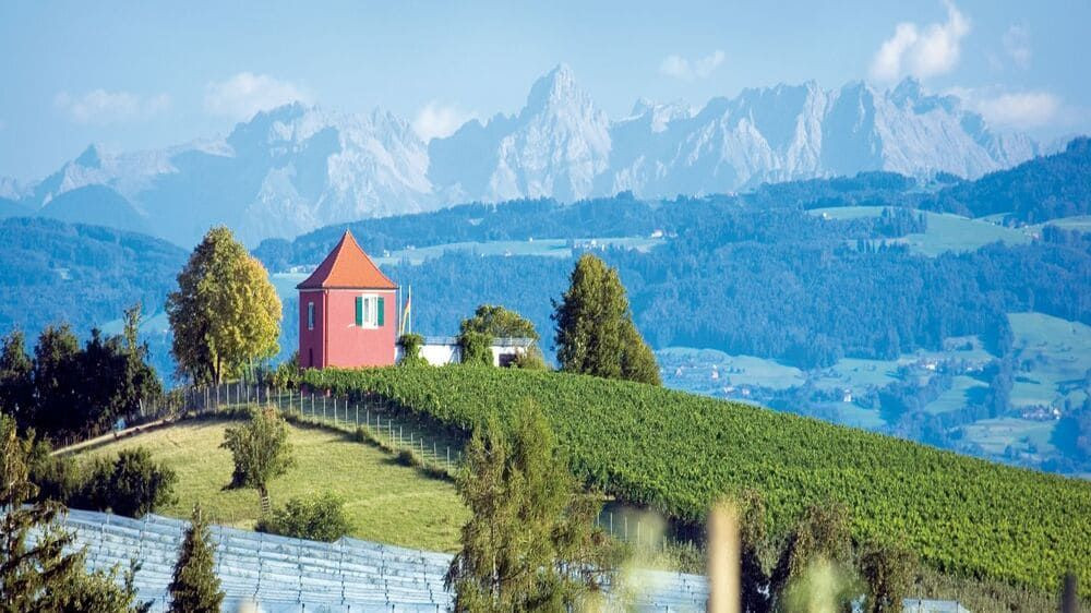 Vignoble et tour rouge devant les Alpes - Allemagne