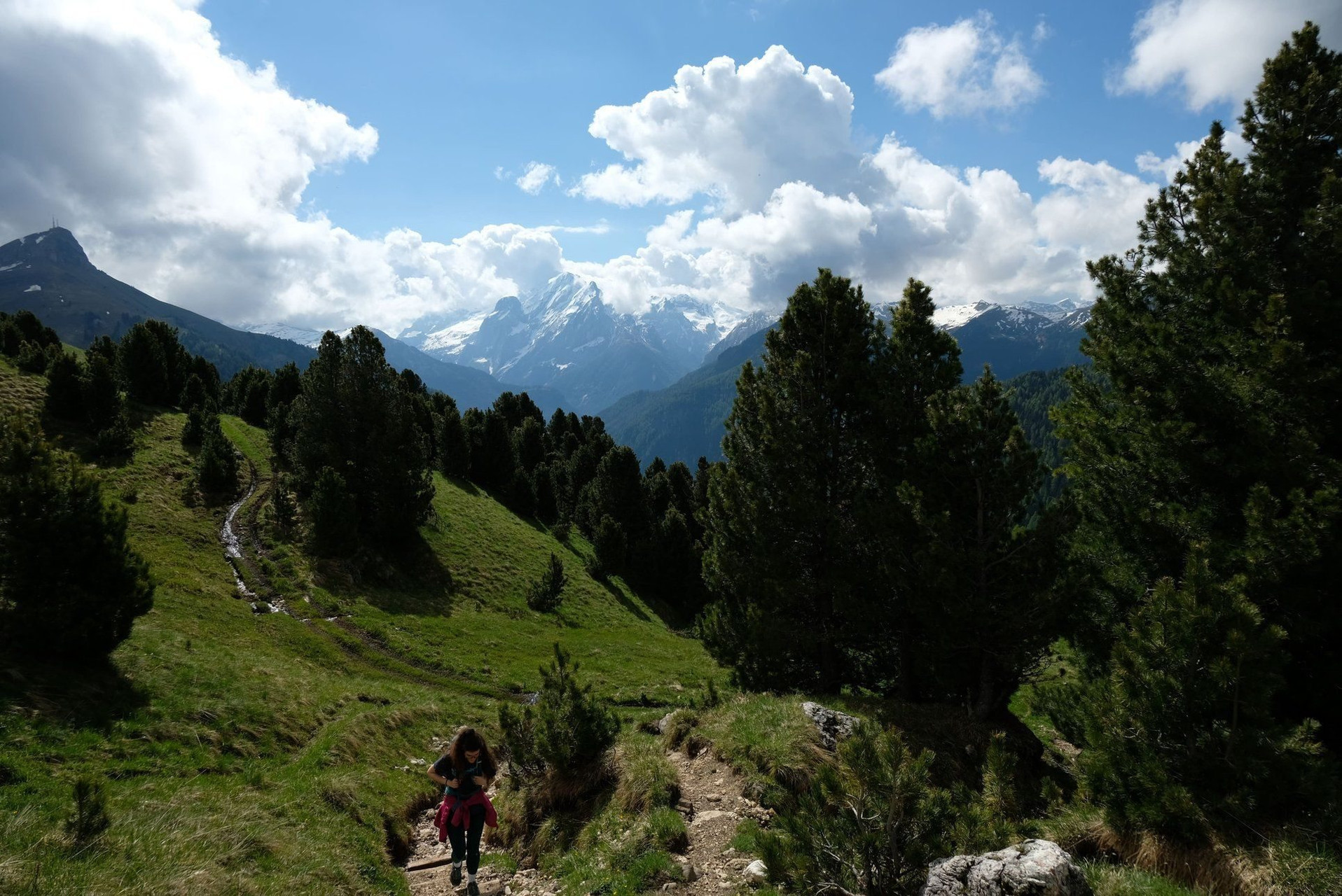 Panorama des Dolomites depuis un refuge - Italie (3)