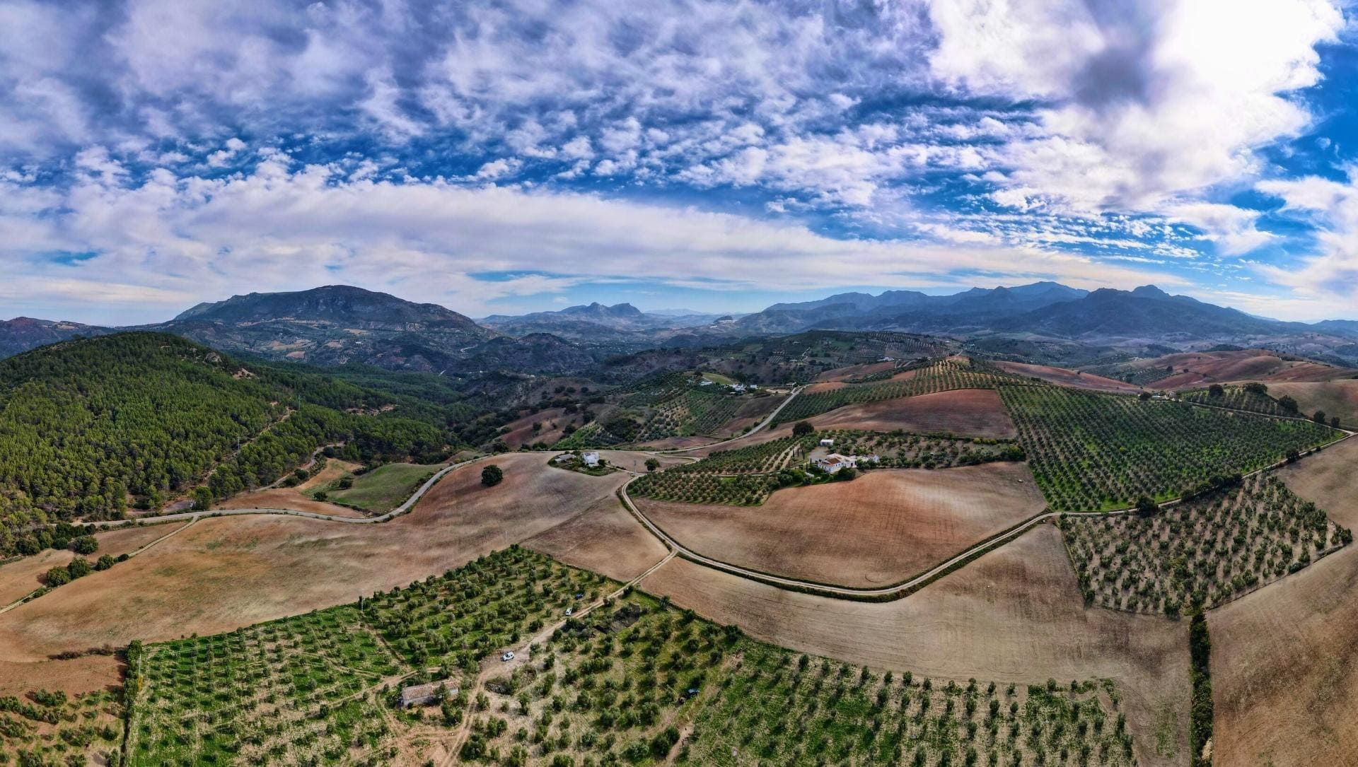 Panorama des collines et oliveraies d'Andalousie - Espagne