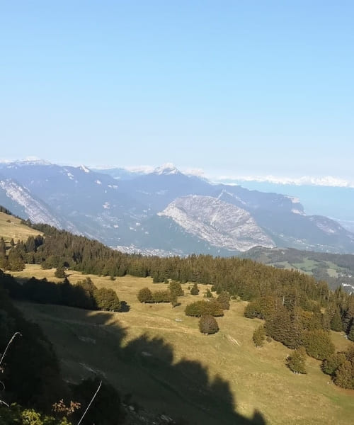 Panorama Molière