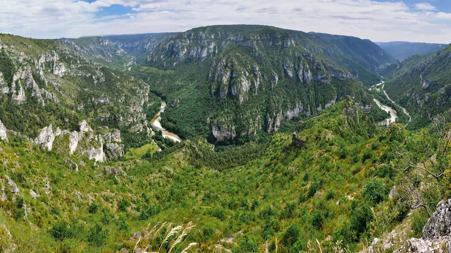 Panorama des Gorges du Tarn depuis le Point Sublime - Lozère - France