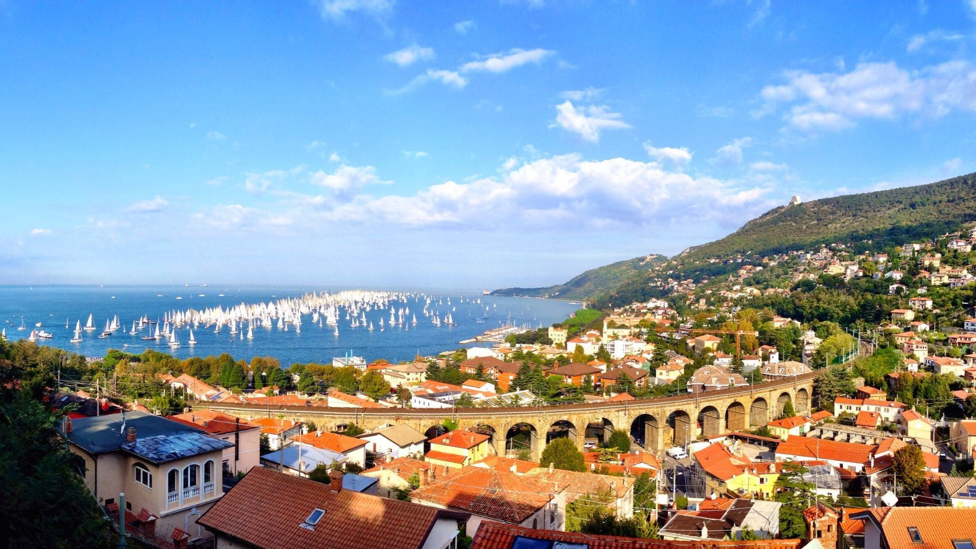 Panorama sur le golfe de Trieste et la régate Barcolana - Italie