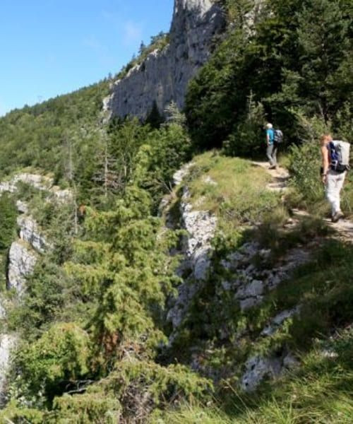 Sentier panoramique vers Oberstdorf - Bavière - Allemagne