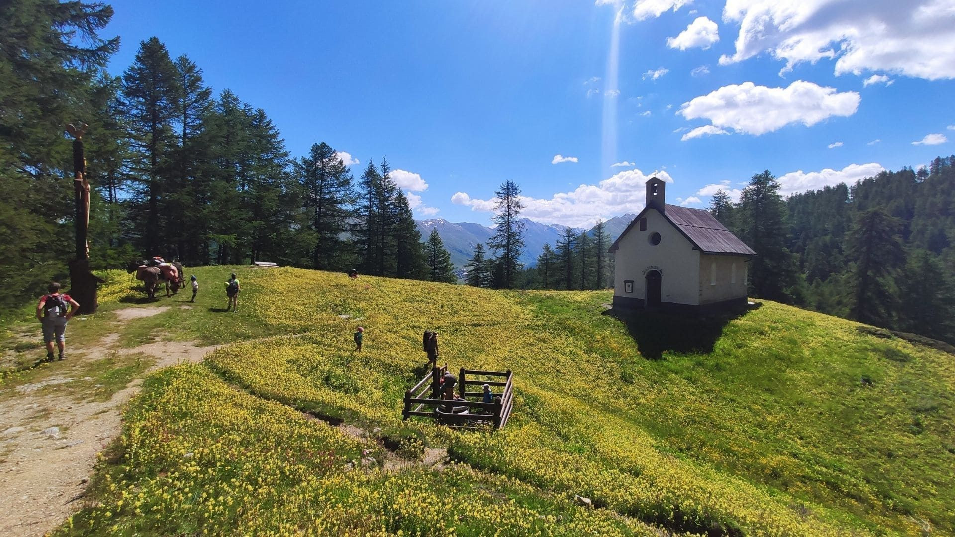 Chapelle d'alpage et prairies fleuries du Queyras - Alpes du Sud - France