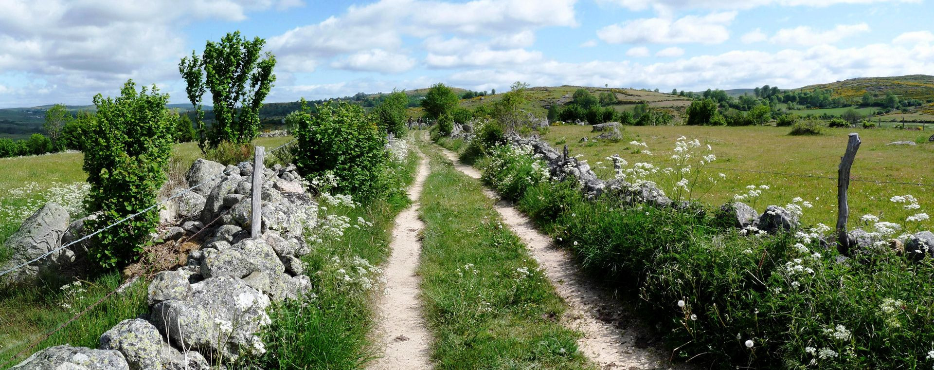 Chemin de randonnée entre murets de pierre - Aubrac - France