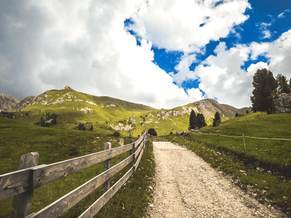 Sentier à travers un alpage - Alpes