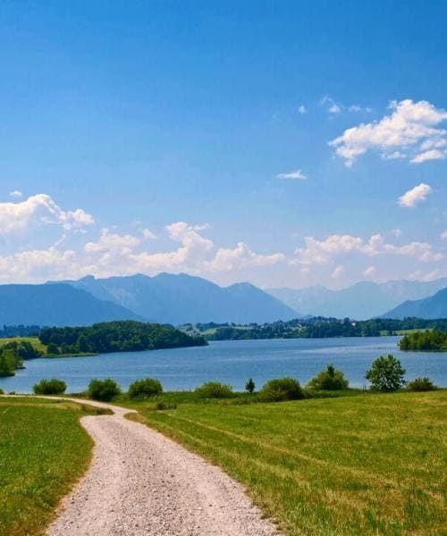 Chemin vers le lac Riegsee avec les Alpes bavaroises - Bavière - Allemagne
