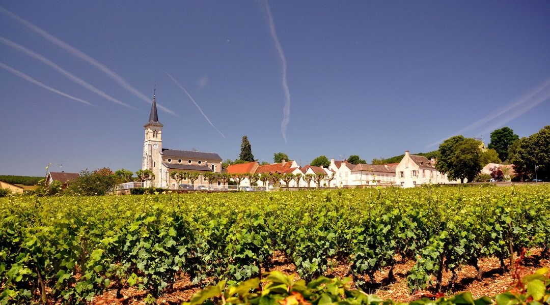 A Burgundy landscape to explore by bike