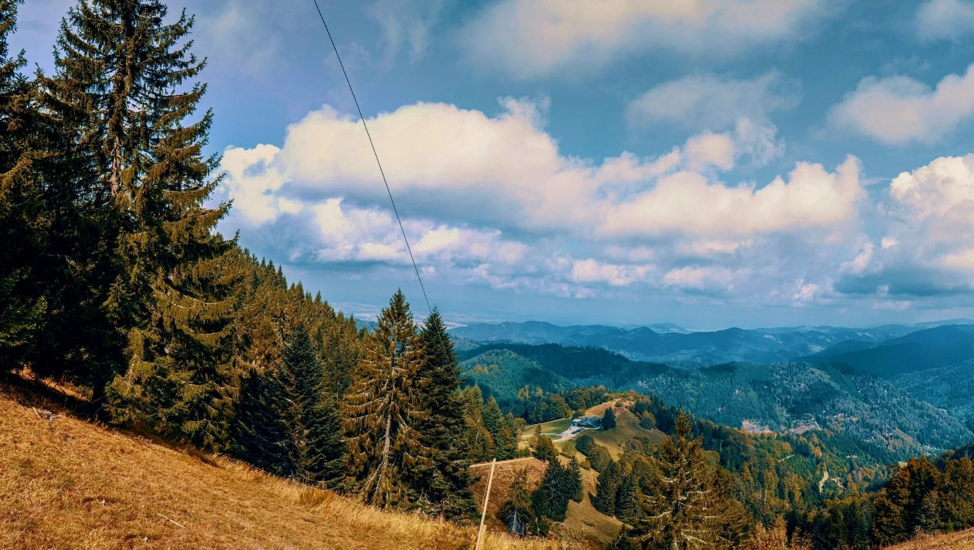 Paysage de la Forêt-Noire - Allemagne (3)