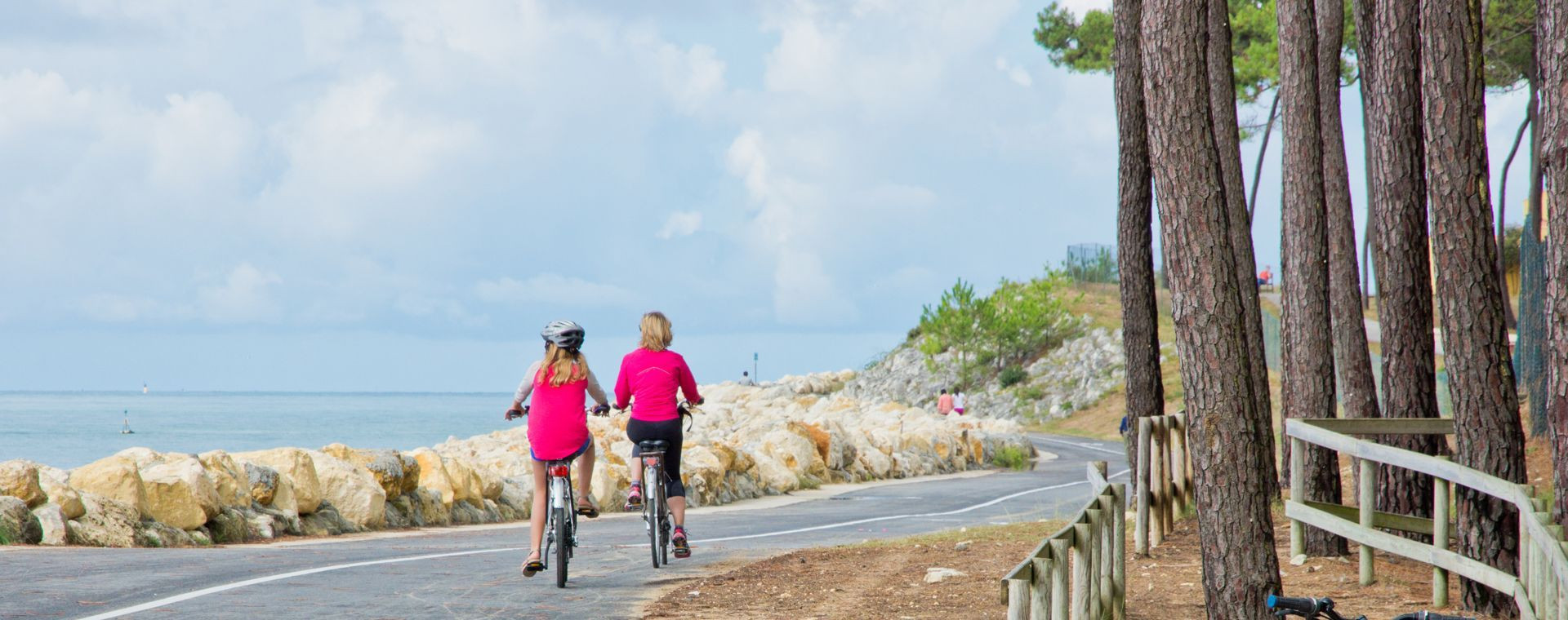 Cyclistes sur la piste cyclable côtière sous les pins - Royan - Charente-Maritime - France