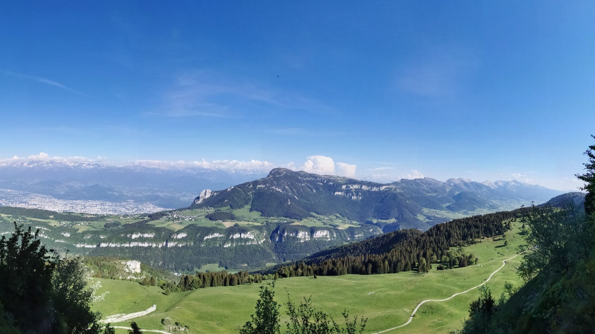 Panorama du plateau alpin verdoyant - Vercors - France