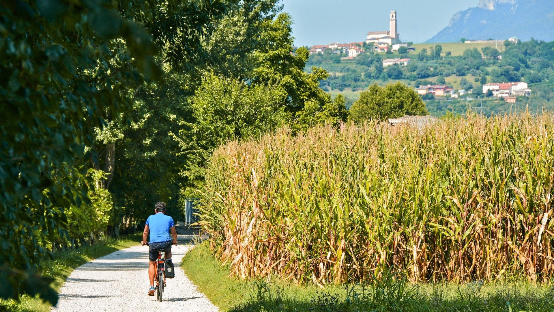 Cycliste longeant un champ de maïs face à un village perché - Padoue - Italie