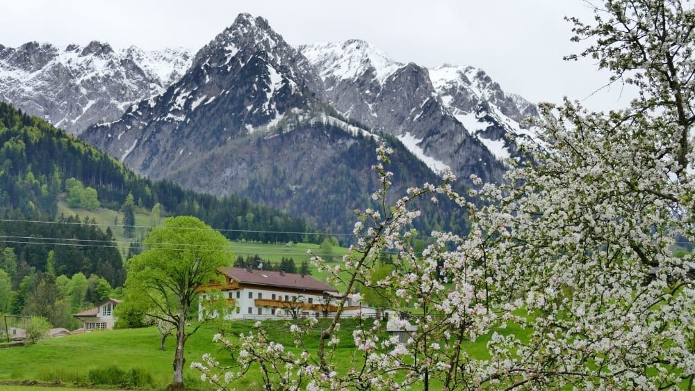 Pretzsch sur l'Elbe - Saxe-Anhalt - Allemagne