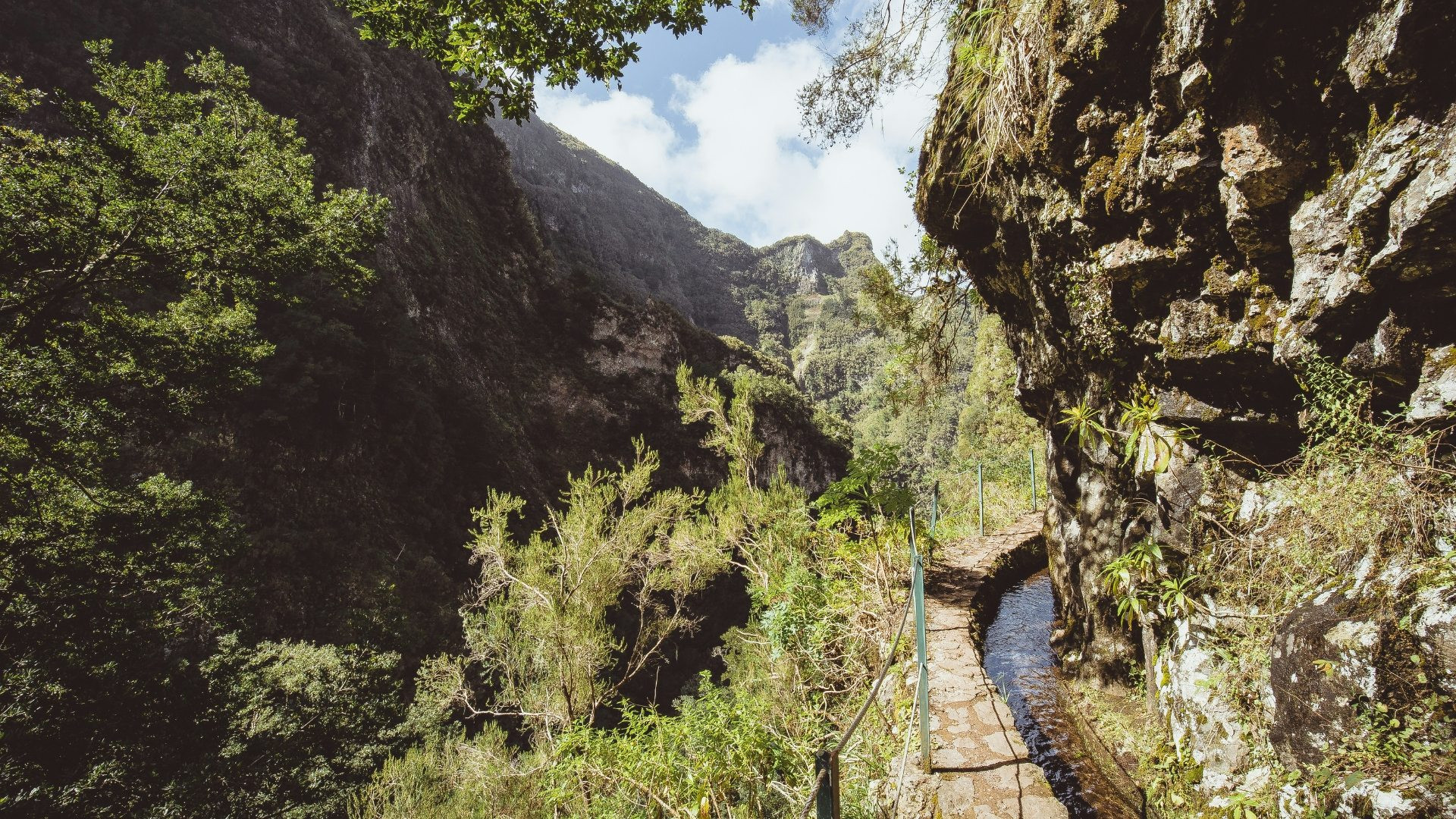 Levada do Caniçal
