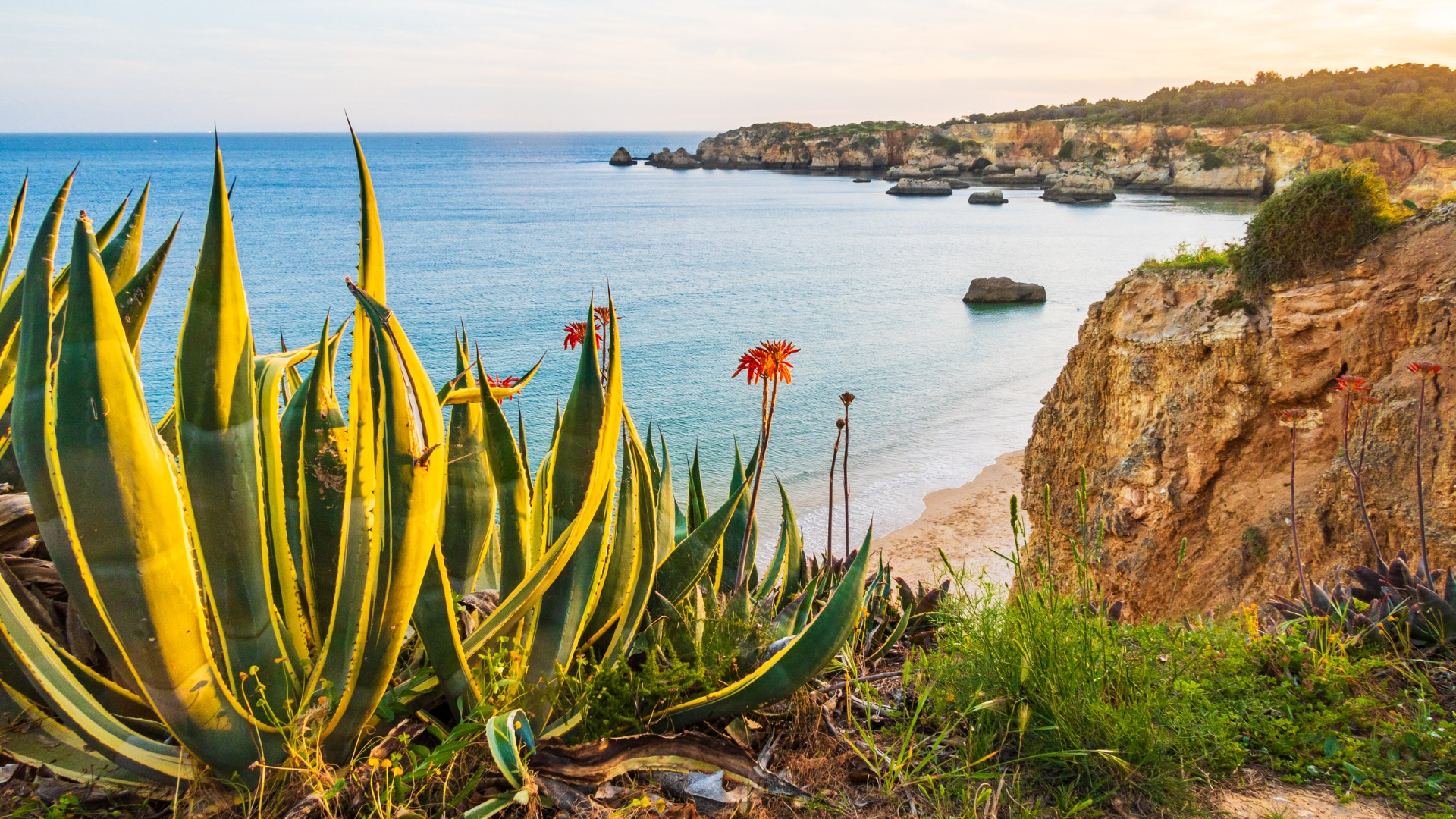 prtlv0001-la-cote-de-l-algarve-par-l-ecovia-2