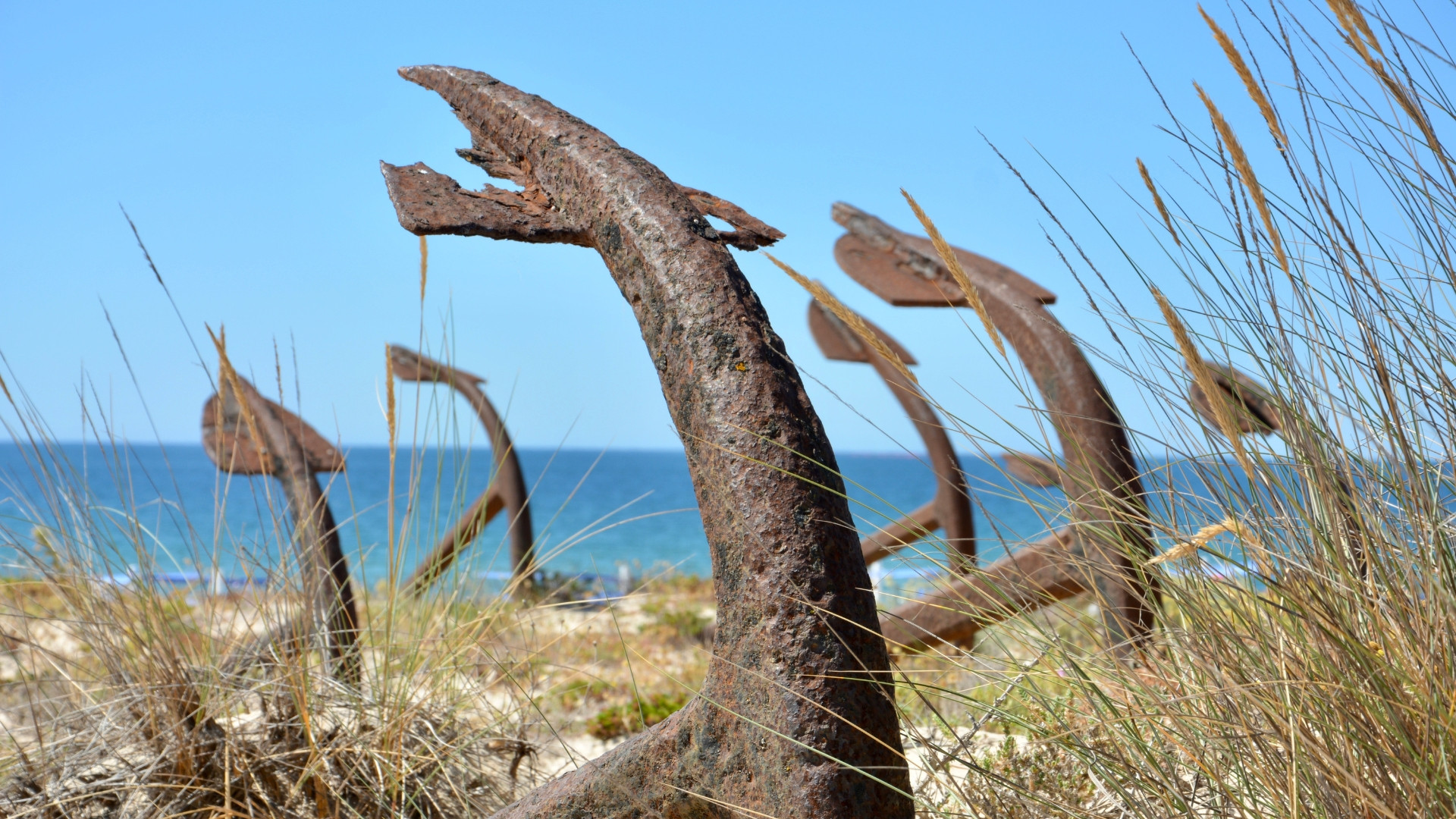 prtlv0001-la-cote-de-l-algarve-par-l-ecovia-barril