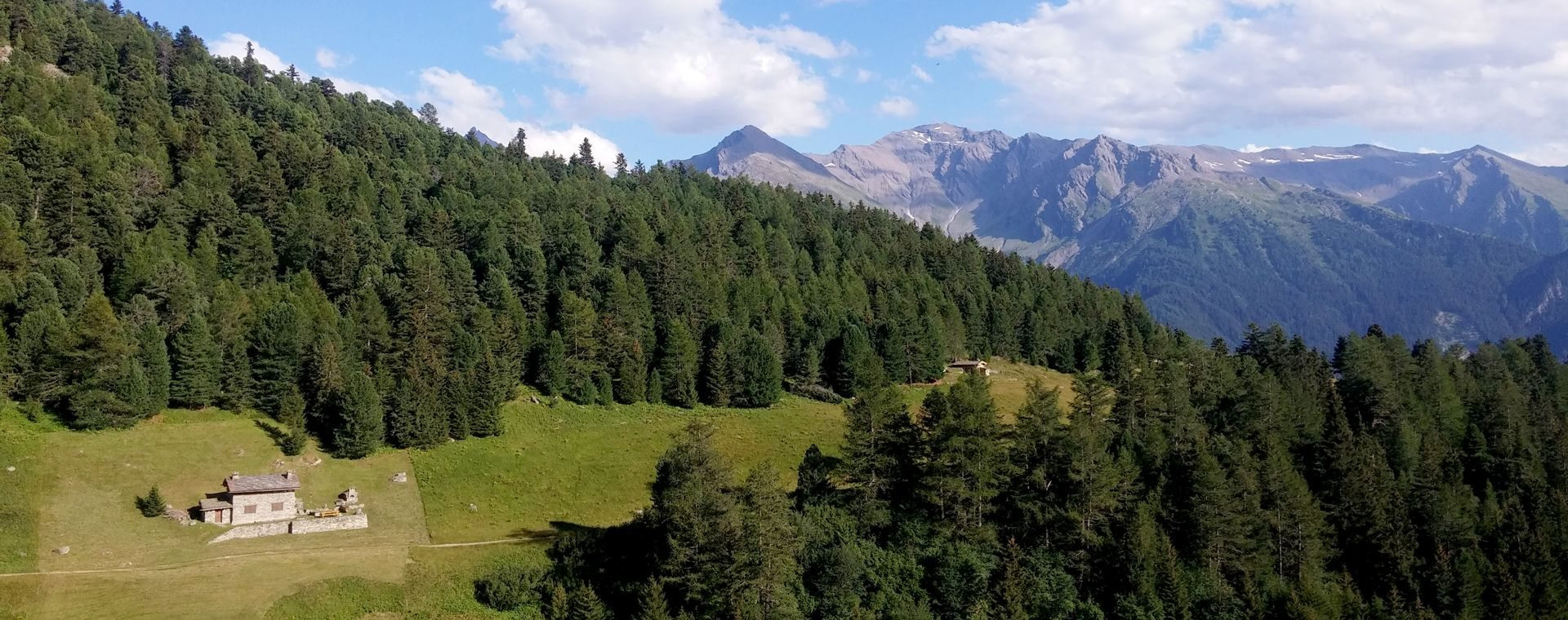 Chalet d'alpage sur un versant boisé - Vanoise - Alpes - France