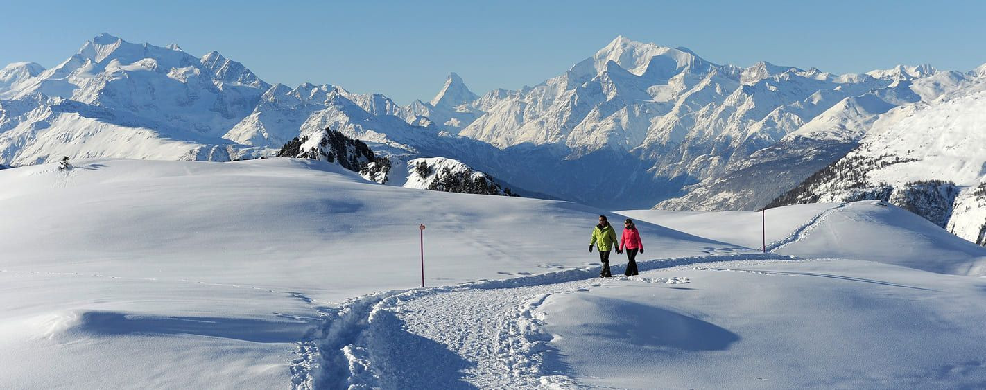 Randonneurs en raquettes face aux Alpes - Aletsch - Suisse