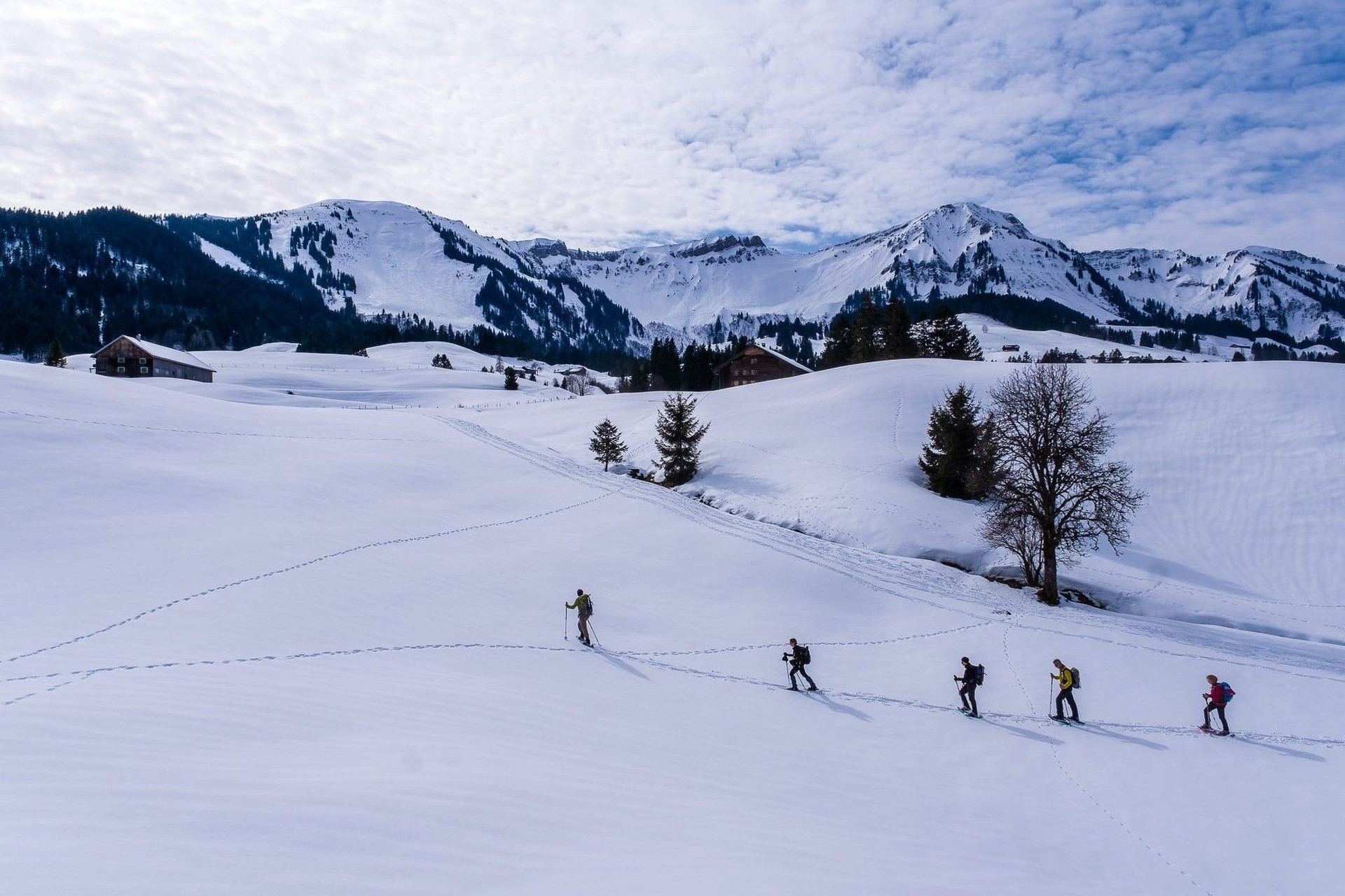 Randonneurs en raquettes sur la plaine enneigée - Bregenzerwald - Autriche
