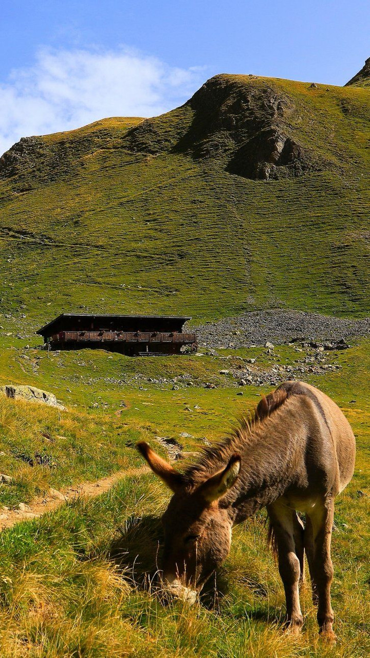 Refuge de la Muzelle
