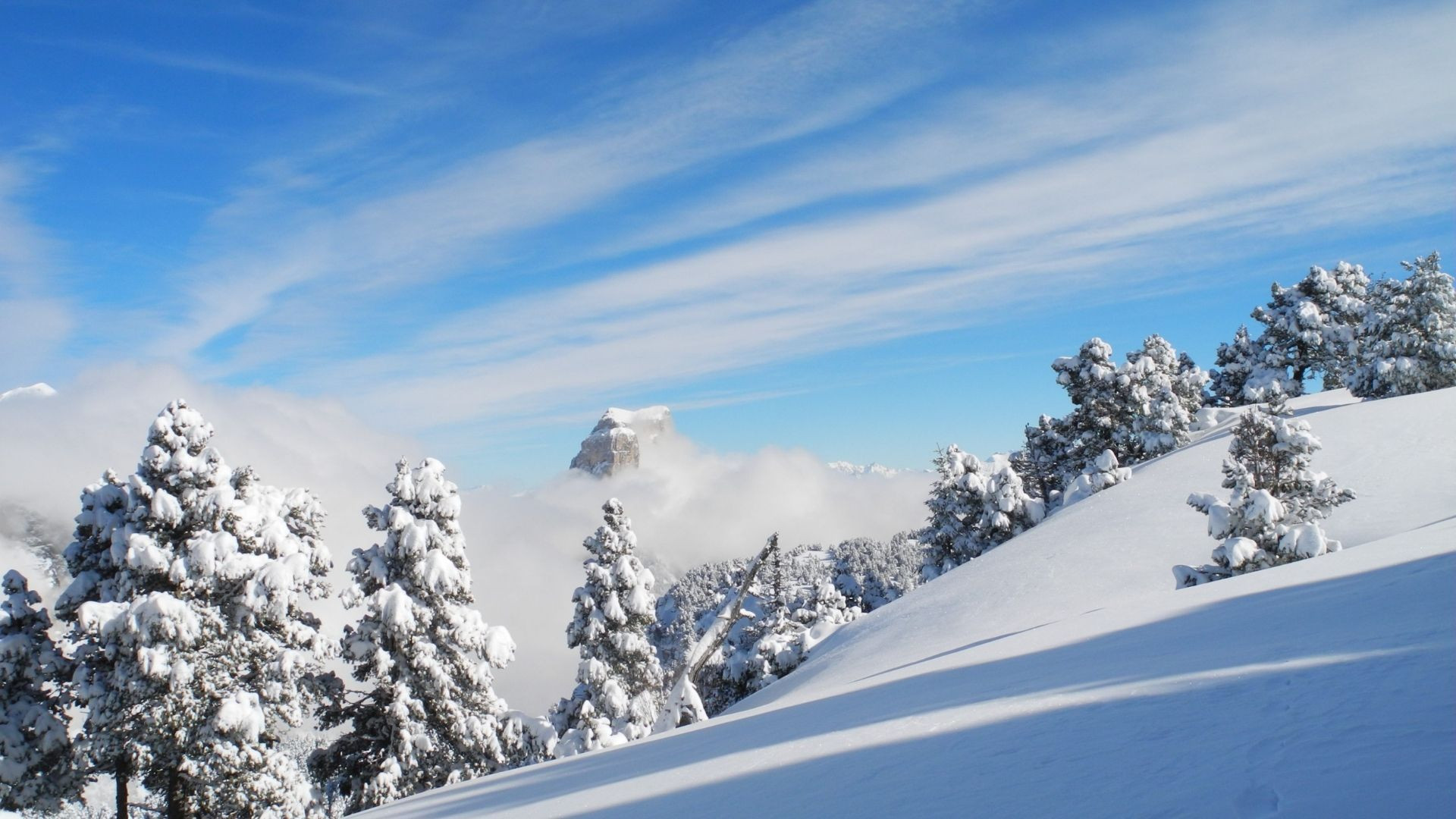 © Matthieu Offredi Mont Aiguille enneigé et sapins givrés - Vercors - France