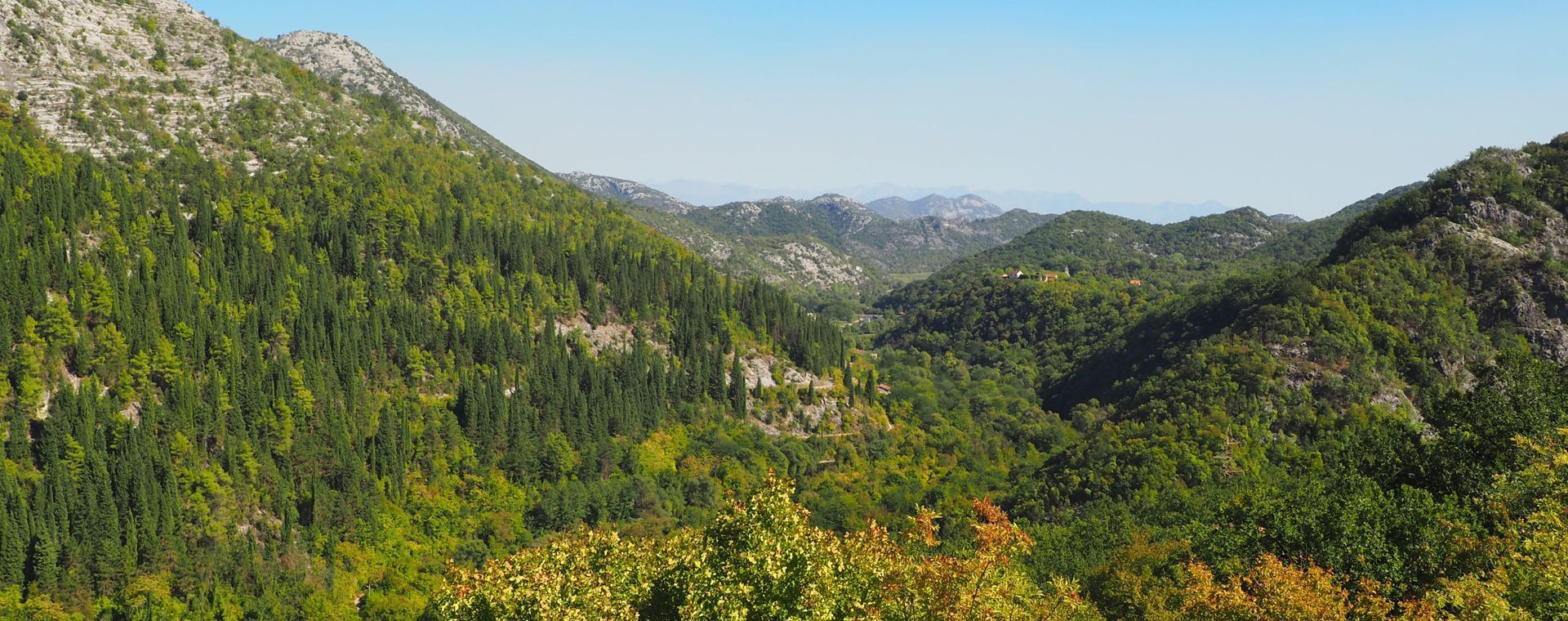 Vallée verdoyante de Rijeka Crnojevića - Lac de Skadar - Monténégro