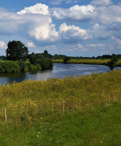 Riviere Vecht